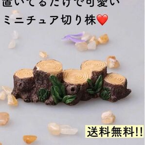 ミニチュア　置き物　切り株　DIY ガーデニング　テラリウム　鉢植え　苔　園芸　人形　フィギュア　小さい　ミニマム　飾り