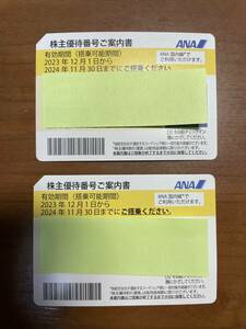 ANA株主優待券　2枚　送料無料　