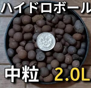 人工軽石 ハイドロボール中粒 約2.0L