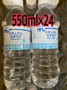 氷ノ山麓 が産んだ自然豊かな美味しい水　550ml×24 天然水　