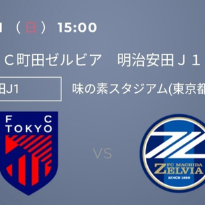 2024/4/21 15:00 キックオフ ＦＣ東京対ＦＣ町田ゼルビア 味の素スタジアム 南サイド自由席 １名様