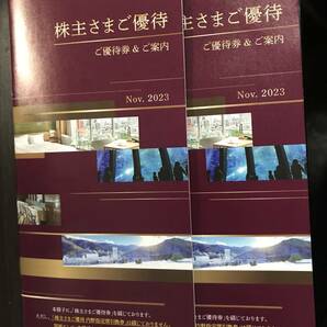 西武ホールディングス 株主優待 共通割引券20000円分（20枚）他 2024年5月31日迄の画像2