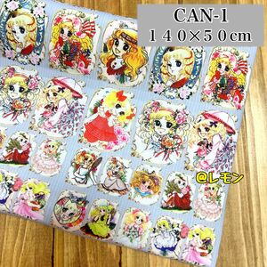 【CAN-1】キャンディキャンディ/140×50cm★生地・布