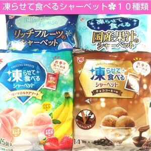 大人気！凍らせて食べるシャーベット　１０種類食べ比べ　詰め合わせ　国産果汁　贅沢リッチフルーツ　■送料無料■匿名配送■クーポン