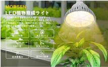 MORSEN LED植物育成ライト 植物 led 植物 ライト 観葉植物 水耕栽培 育成 植物育成用ランプ 室内用ライトガーデニング (暖)_画像6
