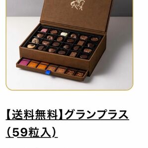 GODIVA ゴディバ チョコレート グランプラス 59粒 アソート