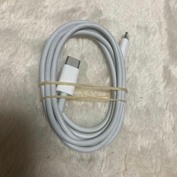 Apple iPhone ライトニングケーブル USB-C