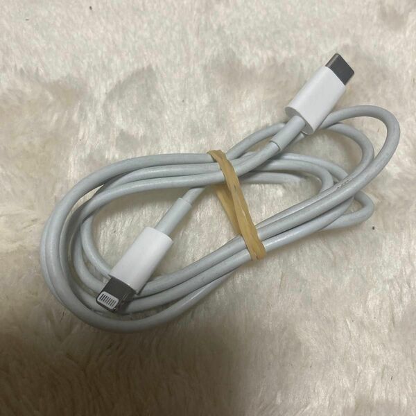 Apple iPhone Lightning Type-C 充電ケーブル