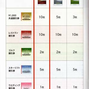 西武ホールディングス 株主優待券(冊子) 埼玉西武ライオンズ ベルーナドーム 内野指定席引換券５枚等 送料無料 匿名配送の画像2