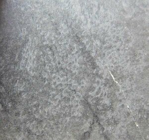 日本の化石　福島県南相馬市鹿島区立石の海綿/ケーテテス