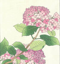 真作保証　大菅祐一 　木版画　#178 紫陽花 Hydrangea　　初版昭和中期～　　 京都らしい花版画の美をご自宅でお楽しみください。_画像7