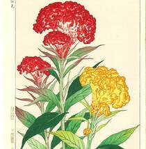 真作保証　河原崎奨堂 木版画 　#137 鶏冠花 Cockscomb 　花版画　　初版昭和中期～ 京都らしい花版画の美をご自宅でお楽しみください。_画像4