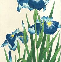 真作保証　河原崎奨堂 木版画 　#3 花菖蒲　 Iris 　花版画　　初版昭和中期～ 京都らしい花版画の美をご自宅でお楽しみください。_画像7