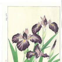 真作保証　河原崎奨堂 木版画 　#1 杜若　 Iris 　花版画　　初版昭和中期～ 京都らしい花版画の美をご自宅でお楽しみください。_画像3