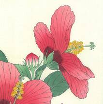 真作保証 河原崎奨堂 木版画 #86 ハイビスカス Hibiscus 花版画 初版昭和中期～ 京都らしい花版画の美をご自宅でお楽しみください。_画像8