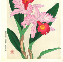 真作保証　河原崎奨堂 木版画 　#99 蘭 Orchid　花版画　　初版昭和中期～ 京都らしい花版画の美をご自宅でお楽しみください。_画像5