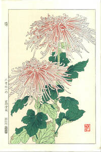 真作保証　大菅祐一 　木版画　#180 菊 Chrysanthemum　　初版昭和中期～　　 京都らしい花版画の美をご自宅でお楽しみください。