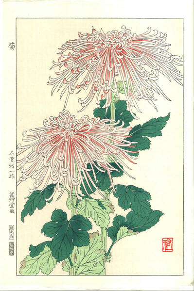 真作保証　大菅祐一 　木版画　#180 菊 Chrysanthemum　　初版昭和中期～　　 京都らしい花版画の美をご自宅でお楽しみください。