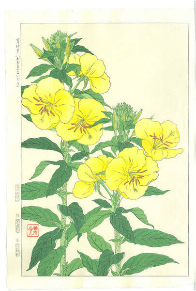 真作保証　河原崎奨堂 木版画 #133 宵待草 Evening primrose 　花版画　初版昭和中期～ 京都らしい花版画の美をご自宅でお楽しみください。