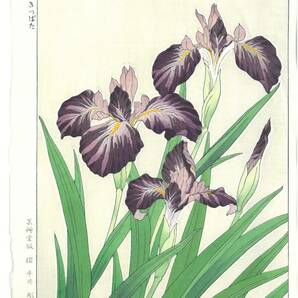 真作保証　河原崎奨堂 木版画 　#1 杜若　 Iris 　花版画　　初版昭和中期～ 京都らしい花版画の美をご自宅でお楽しみください。