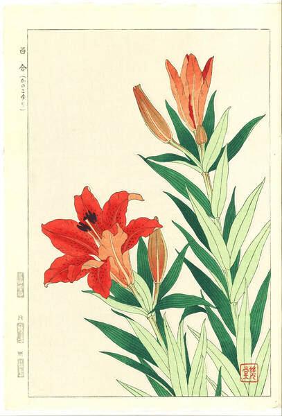 真作保証　河原崎奨堂 木版画 #67 カノコユリ Red star lily 　花版画 初版昭和中期～ 京都らしい花版画の美をご自宅でお楽しみください。