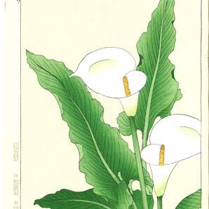 真作保証　河原崎奨堂 木版画 　#138 カイウ Calla lily 　花版画　　初版昭和中期～ 京都らしい花版画の美をご自宅でお楽しみください。