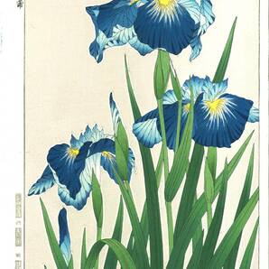 真作保証　河原崎奨堂 木版画 　#3 花菖蒲　 Iris 　花版画　　初版昭和中期～ 京都らしい花版画の美をご自宅でお楽しみください。
