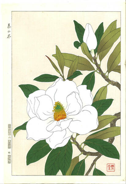 真作保証 河原崎奨堂 木版画 #79 泰山木 Magnolia grandiflora 花版画　初版昭和中期～ 京都らしい花版画の美をご自宅でお楽しみください。