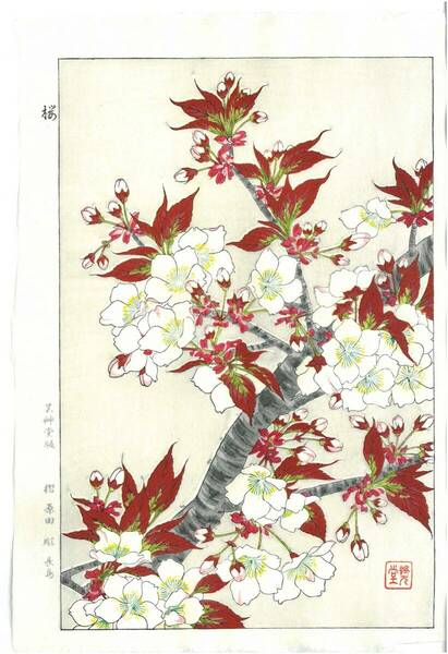真作保証　河原崎奨堂 木版画 　#16 桜 Cherry 　花版画　　初版昭和中期～ 京都らしい花版画の美をご自宅でお楽しみください。