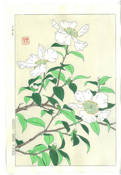 真作保証　河原崎奨堂 木版画 　#52 山茶花 　Camellia　花版画　　初版昭和中期～ 京都らしい花版画の美をご自宅でお楽しみください。