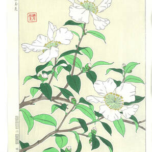 真作保証　河原崎奨堂 木版画 　#52 山茶花 　Camellia　花版画　　初版昭和中期～ 京都らしい花版画の美をご自宅でお楽しみください。