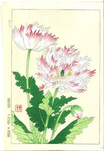 真作保証　河原崎奨堂 木版画 　#122 けし Poppy 　花版画　　初版昭和中期～ 京都らしい花版画の美をご自宅でお楽しみください。