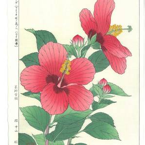 真作保証 河原崎奨堂 木版画 #86 ハイビスカス Hibiscus 花版画 初版昭和中期～ 京都らしい花版画の美をご自宅でお楽しみください。