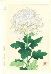 真作保証　河原崎奨堂 木版画 　#34 白菊 Chrysanthemum 　花版画　　初版昭和中期～　 京都らしい花版画の美をご自宅でお楽しみください。