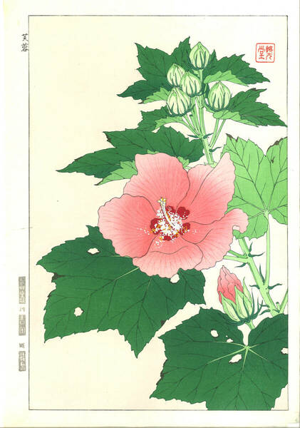 真作保証　河原崎奨堂 木版画 #83 芙蓉 Hibiscus mutabilis 　花版画　初版昭和中期～ 京都らしい花版画の美をご自宅でお楽しみください。