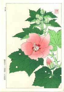 真作保証　河原崎奨堂 木版画 #83 芙蓉 Hibiscus mutabilis 　花版画　初版昭和中期～ 京都らしい花版画の美をご自宅でお楽しみください。