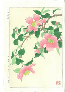 真作保証　河原崎奨堂 木版画 　#53 山茶花 Camellia　　花版画　　初版昭和中期～ 　　京都らしい花版画の美をご自宅でお楽しみください。