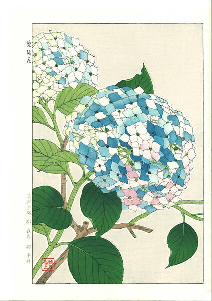 真作保証　河原崎奨堂 木版画 　#75 紫陽花 Hydrangea 　花版画　　初版昭和中期～ 京都らしい花版画の美をご自宅でお楽しみください。
