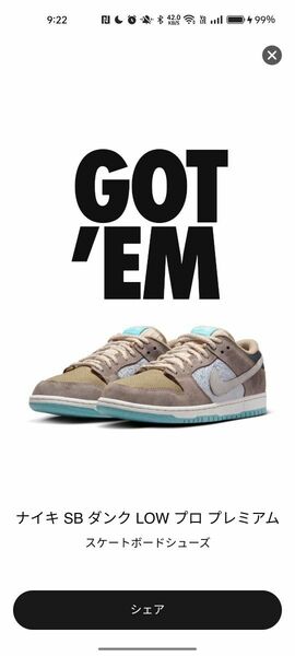 NIKE SB Dunk Low Pro Big Money Saving 27cm US9