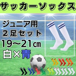 サッカーソックス【2足セット】ジュニア　白×青　19～21　ストッキング