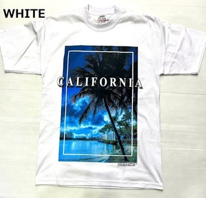 BI51)PRO TEAM CALIFORNIA パームツリー プリント Tシャツ半袖/WHITE/LA/HIPHOP/L/大きいサイズ