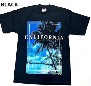 BI51)PRO TEAM CALIFORNIA パームツリー プリント Tシャツ半袖/BLACK/LA/HIPHOP/2XL/大きいサイズ