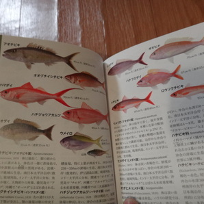 専門書 魚類図鑑 小学館の図鑑Z 日本魚類館の画像4