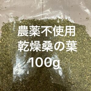 農薬不使用 乾燥桑の葉100g