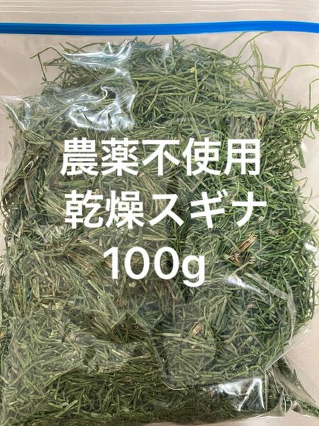 農薬不使用 乾燥スギナ100g