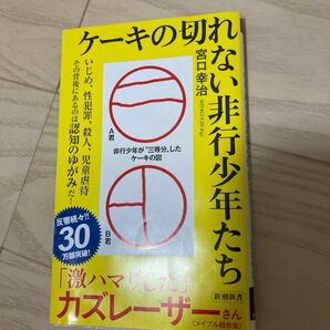 ケーキの切れない非行少年たち 宮口幸治／著