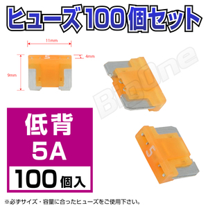 BigOne low . flat type fuse 5A ASM 100 piece set DC12V car DC24V car 