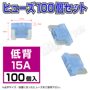 BigOne low . flat type fuse 15A ASM 100 piece set DC12V car DC24V car 