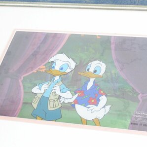 ○ ウォルト・ディズニー Quack Pack クワック・パック ドナルド アロハ 絵画 アート セル画の画像4