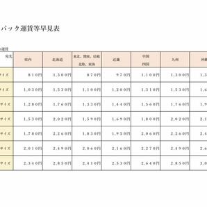 (4-45) まとめ売り リュック リュックサック デイパック バックパック バッグ ボストンバック SOLO TOURIST TUSA CHOOPの画像10